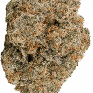 Bathera 24/1 BZ (Blue Z)