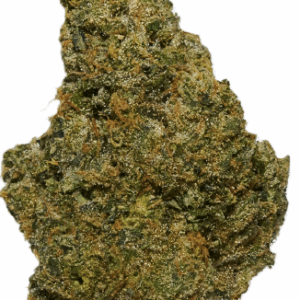 Bathera 20/1 PMM (Permant Midnight)